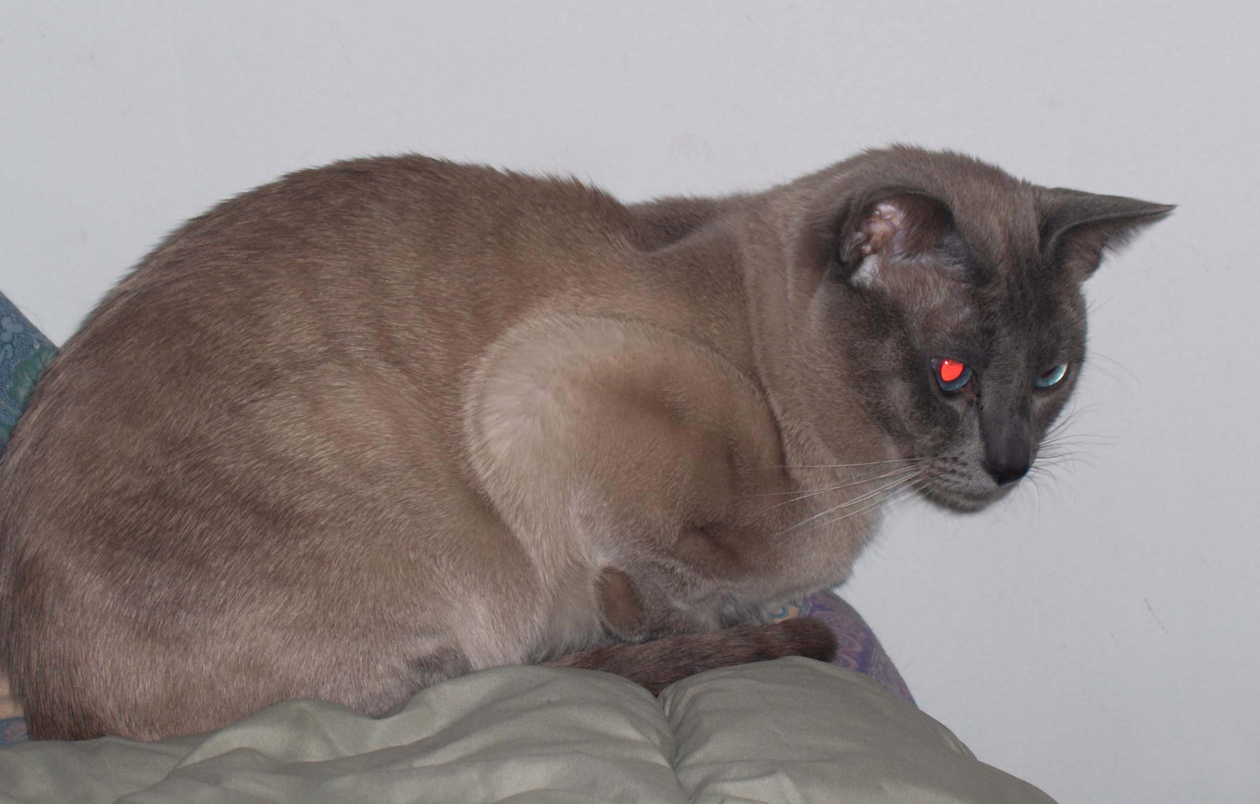 wsabi.jpg